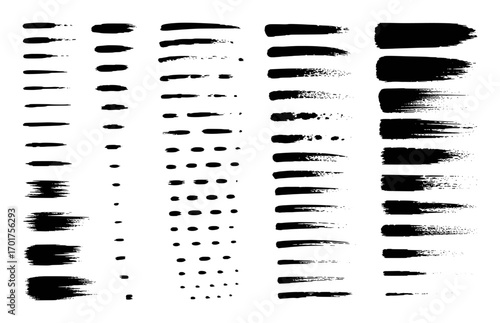 Collection of Black Brush Strokes and Splatters on White Background