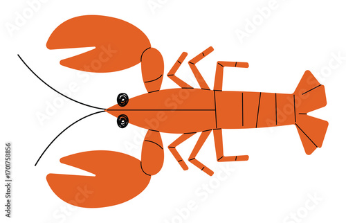 Lobster cute on a White background, vector illustration.