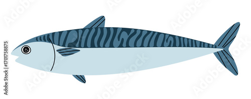 Mackerel cute on a White background, vector illustration.