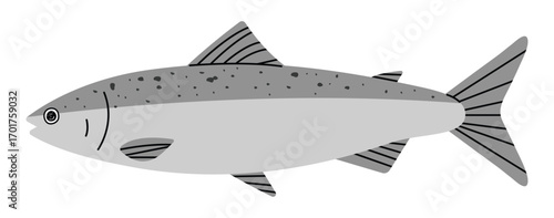 Salmon 3 cute on a White background, vector illustration.