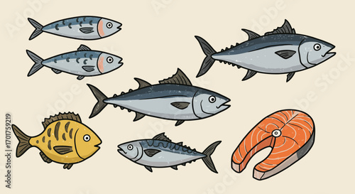 Collection of various fish species illustration: tuna, sardine, salmon and others