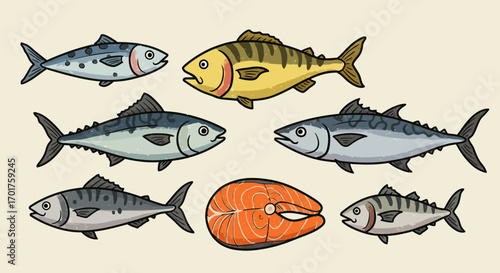 Collection of various fish species, including salmon steak, illustration style