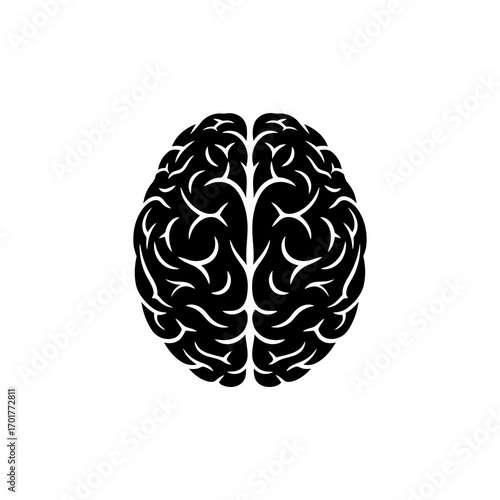 vector illustration of a human brain top view simplified form