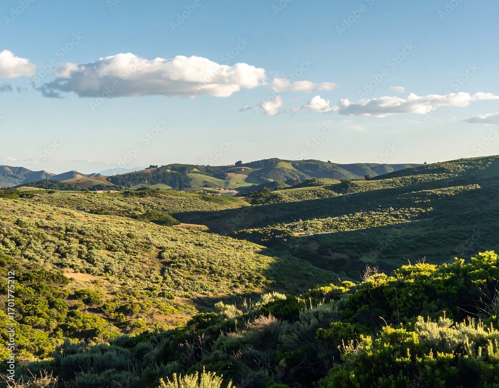 Fototapeta premium Lush hillside valley under a partly cloudy sky