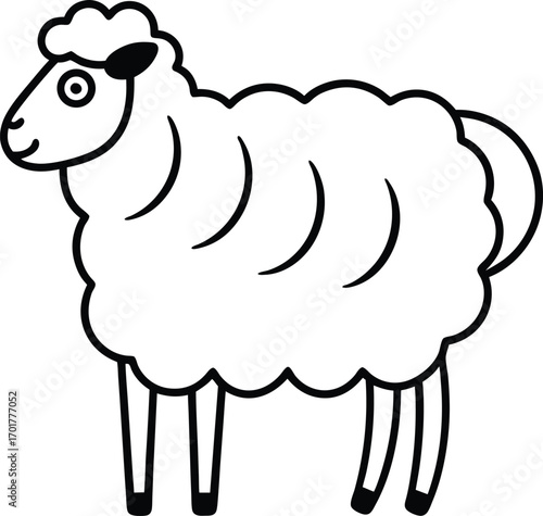 vector illustration of a sheep