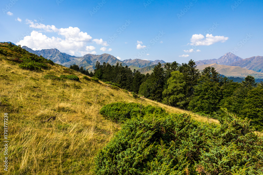 Fototapeta premium The Arbizon Massif seen from the Col d’Aspin, surrounded by verdant valleys and forested slopes of the Hautes-Pyrénées