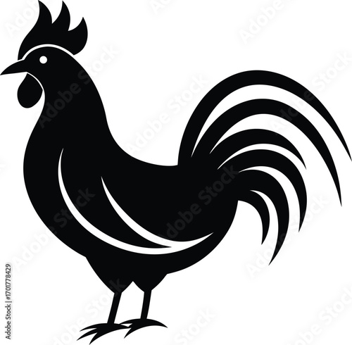 rooster isolated on white background