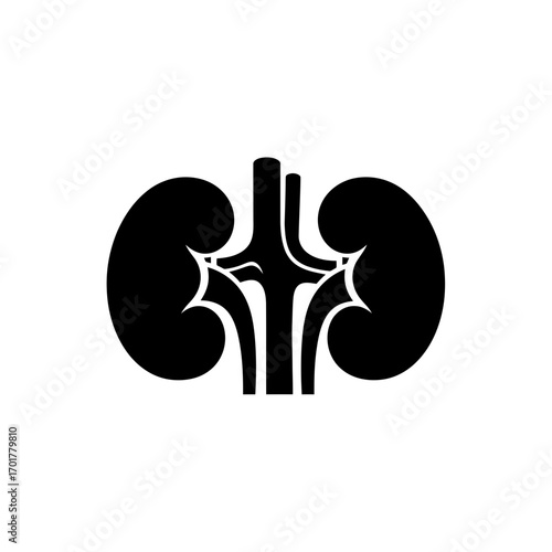 Vector art of black silhouette of human kidneys with arteries and veins