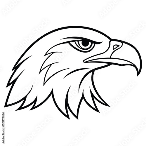 eagle head vector illustration