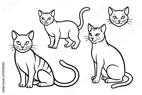 set of cats