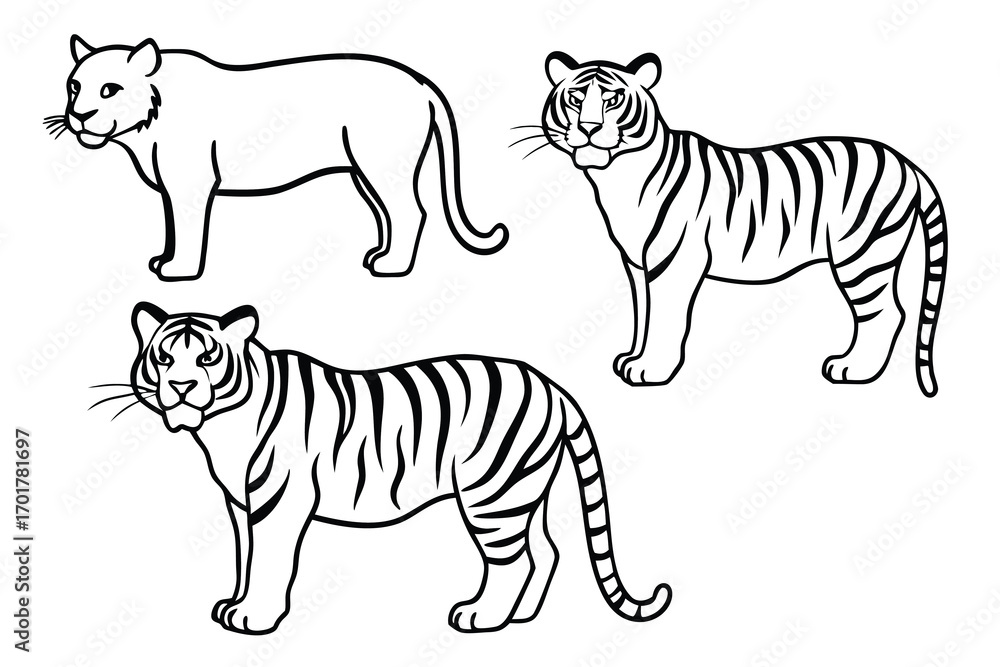 Fototapeta premium tiger vector illustration