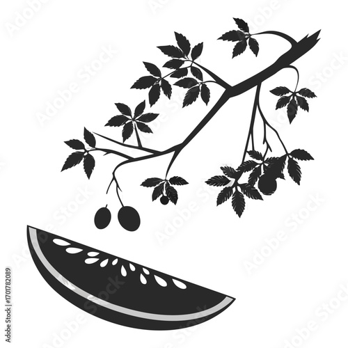 Set of realistic round shadow and shadow effect. Poster, flyer, business card, banner shadow collection. Vector shadows isolated on transparent.
