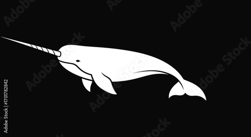 White narwhal swimming underwater ocean wildlife.