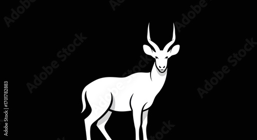 White Antelope Silhouetted Against Black Background.