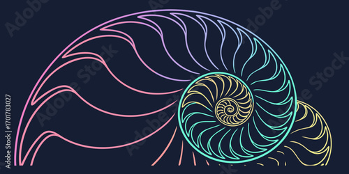 Captivating nautilus shell spiral with vibrant pastel gradient lines evoking growth, nature, and elegant geometric design for modern projects