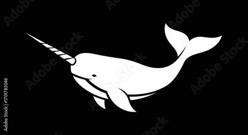 Elegant white narwhal silhouette against a stark black background simple design.