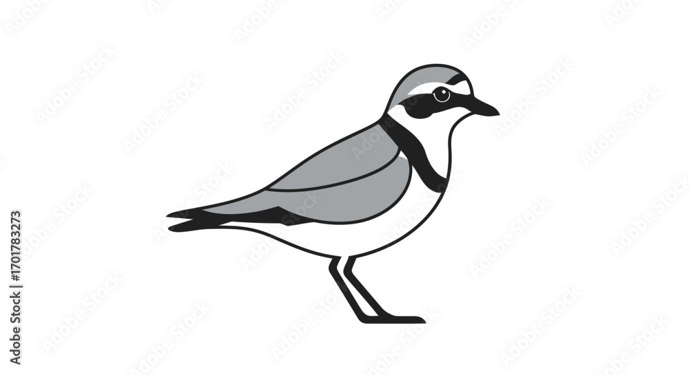 Obraz premium Side view of a small gray and black bird likely a shorebird detailed illustration.