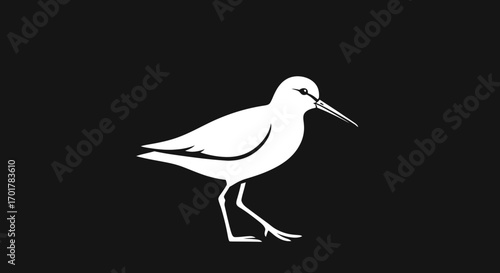 White sandpiper bird illustration graphic.