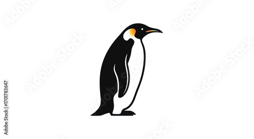 Elegant emperor penguin standing tall in a minimalist vector illustration.