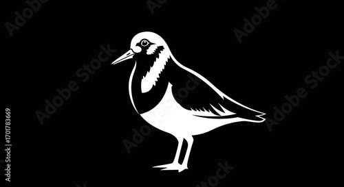 Side view of a bird likely a sandpiper or similar shorebird detailed illustration black and white focused on the birds form and features.