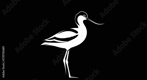 Elegant silhouette of a wading bird likely a lapwing or similar species showcasing its long legs and distinctive beak.