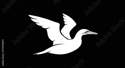 White bird in flight wings spread wide elegant pose.