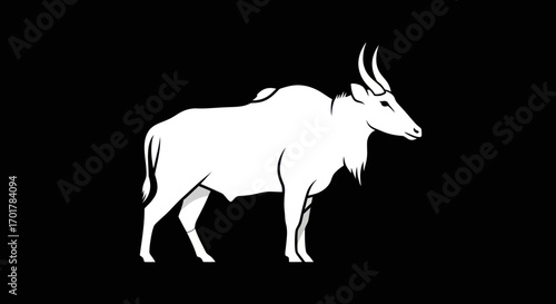 White bull profile view illustration graphic.