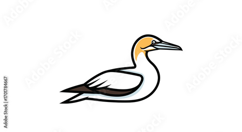Elegant Gannet Bird Profile Illustration.