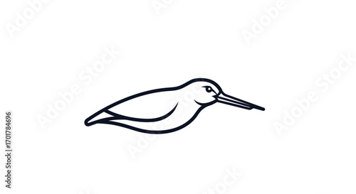Elegant shorebird profile illustration showcasing avian grace and detailed features.