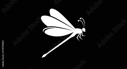 White dragonfly silhouette detailed illustration isolated on black background simple design elegant insect.