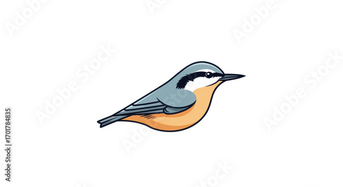 Detailed illustration of a small bird with colorful plumage and sharp beak.