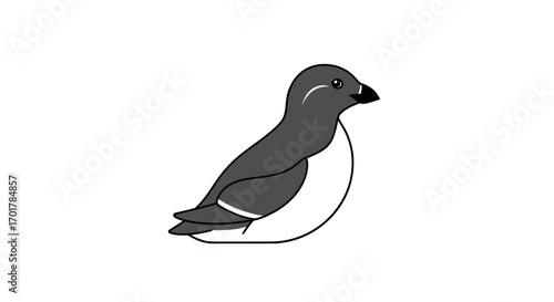 Simple black and white illustration of a Little Auk bird.