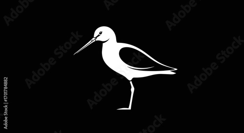Elegant Silhouette of a Shorebird.