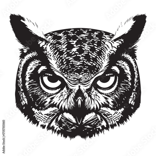 Silhouette of an owl head, showcasing its piercing eyes and feathered features, a symbol of wisdom and mystery, often associated with nocturnal habits and folklore