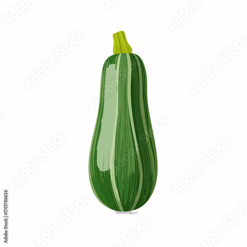 Zucchini