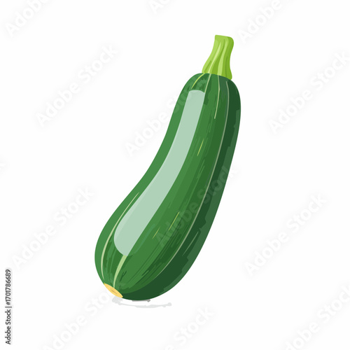 Zucchini