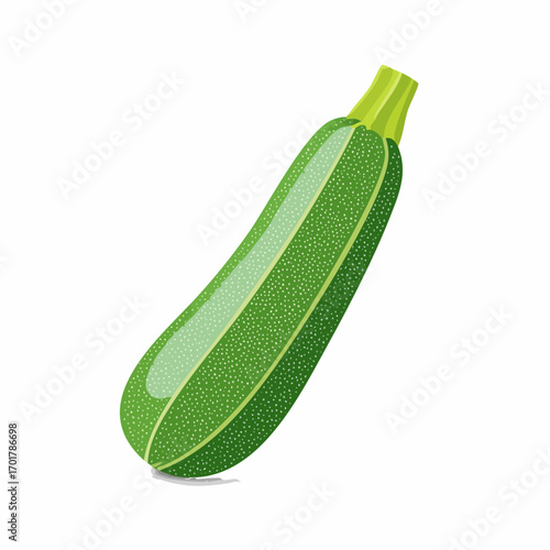 Zucchini