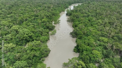 Mangrove Trees Submerged During High Tide in the Sundarbans – 4K Aerial View