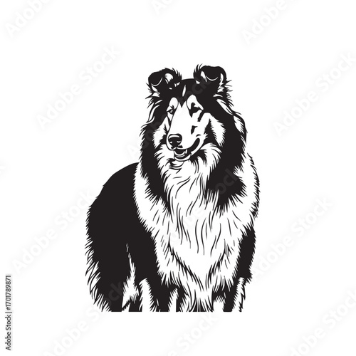 Majestic collie silhouette, capturing the breeds intelligence and loyalty, ideal for petrelated designs, logos, and artistic representations with a clean aesthetic