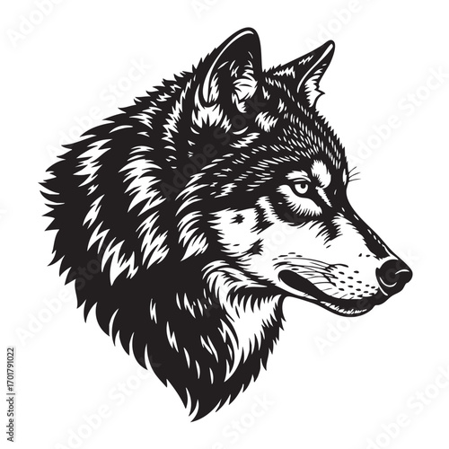 Striking wolf head illustration, showcasing intricate details and a powerful gaze, capturing the essence of this wild animal in a monochrome design