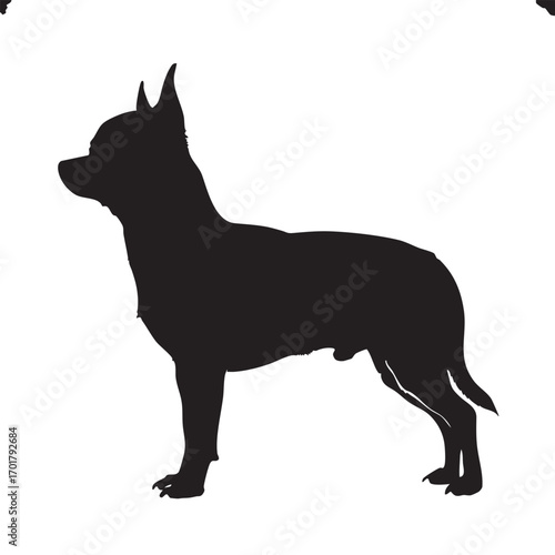 Silhouette of a chihuahua, showcasing its small size and distinctive features, a beloved companion animal, a charming and endearing image