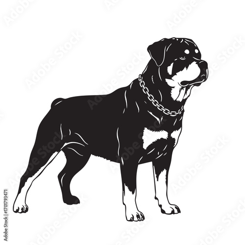 A majestic rottweiler stands proudly, its muscular build and confident gaze capturing the essence of this loyal breed the dogs sleek coat and strong stance