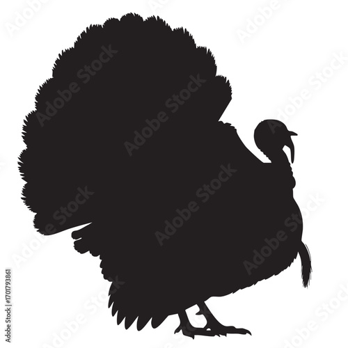 A detailed silhouette of a turkey, showcasing its fanlike tail feathers and distinctive wattle, perfect for thanksgiving designs or poultry illustrations