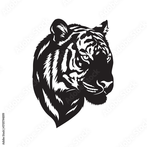 Illustration of a tiger head, showcasing its distinctive stripes and powerful features, perfect for wildlife enthusiasts and graphic design projects