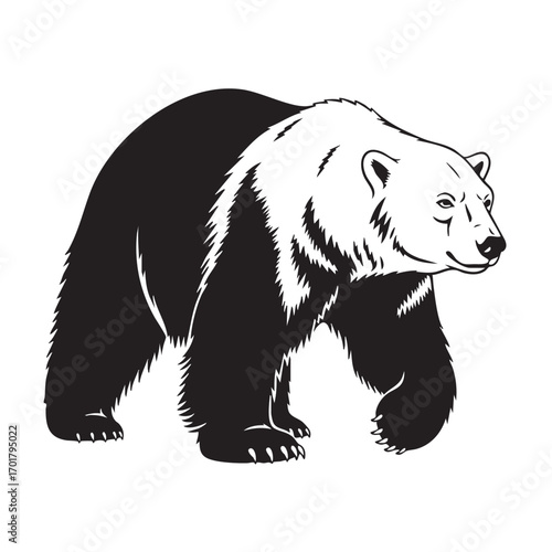 Illustration of a bear, capturing its majestic presence and powerful build, perfect for naturethemed projects and wildlife conservation campaigns