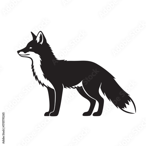 Silhouette of a fox standing the fox is a small to mediumsized, omnivorous mammal belonging to several genera of the family canidae