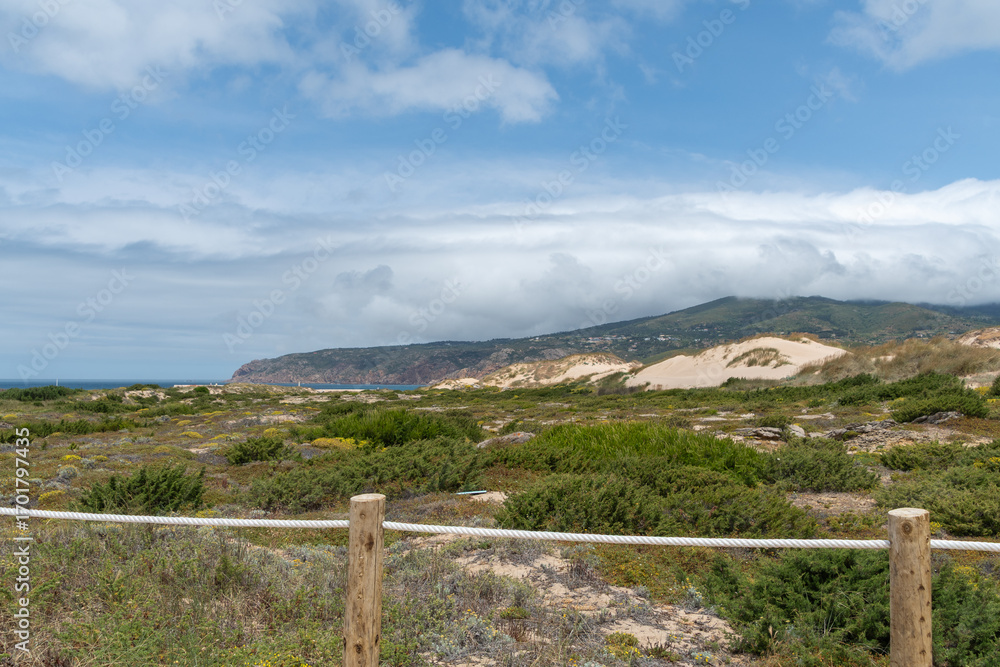 Fototapeta premium Überblick über die Wanderdüne Duna de Cresmina, Portugal
