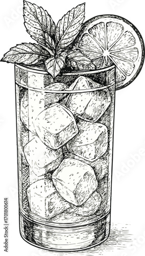 Refreshing highball glass filled with ice mint and citrus slice detailed sketch