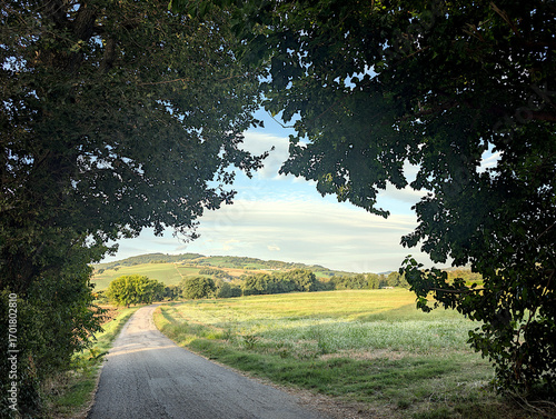 Oltre gli alberi le campagne di San Lorenzo in Campo nelle Marche in Italia