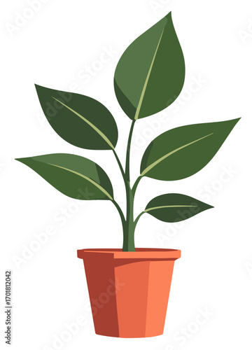 Potted houseplant in terracotta pot, potted houseplant with broad green leaves in minimal flat style, clean modern decor concept, indoor greenery, calm natural vibe for home and office